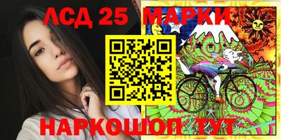 стафф Донской