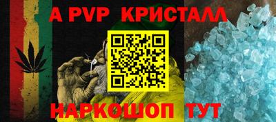 стафф Донской