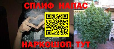 стафф Донской
