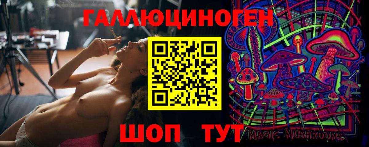 Дагестанские Огни  Псилоцибиновые грибы MAGIC MUSHROOMS  Вход с VPN 